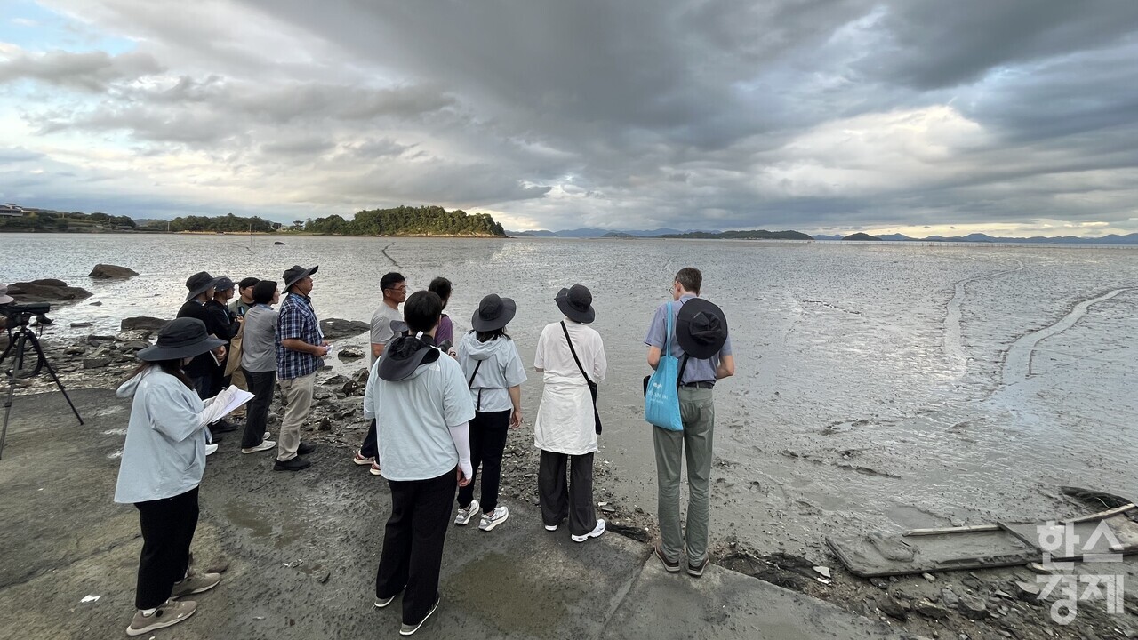 ▲고흥갯벌 현장 실사 (사진=전남도)