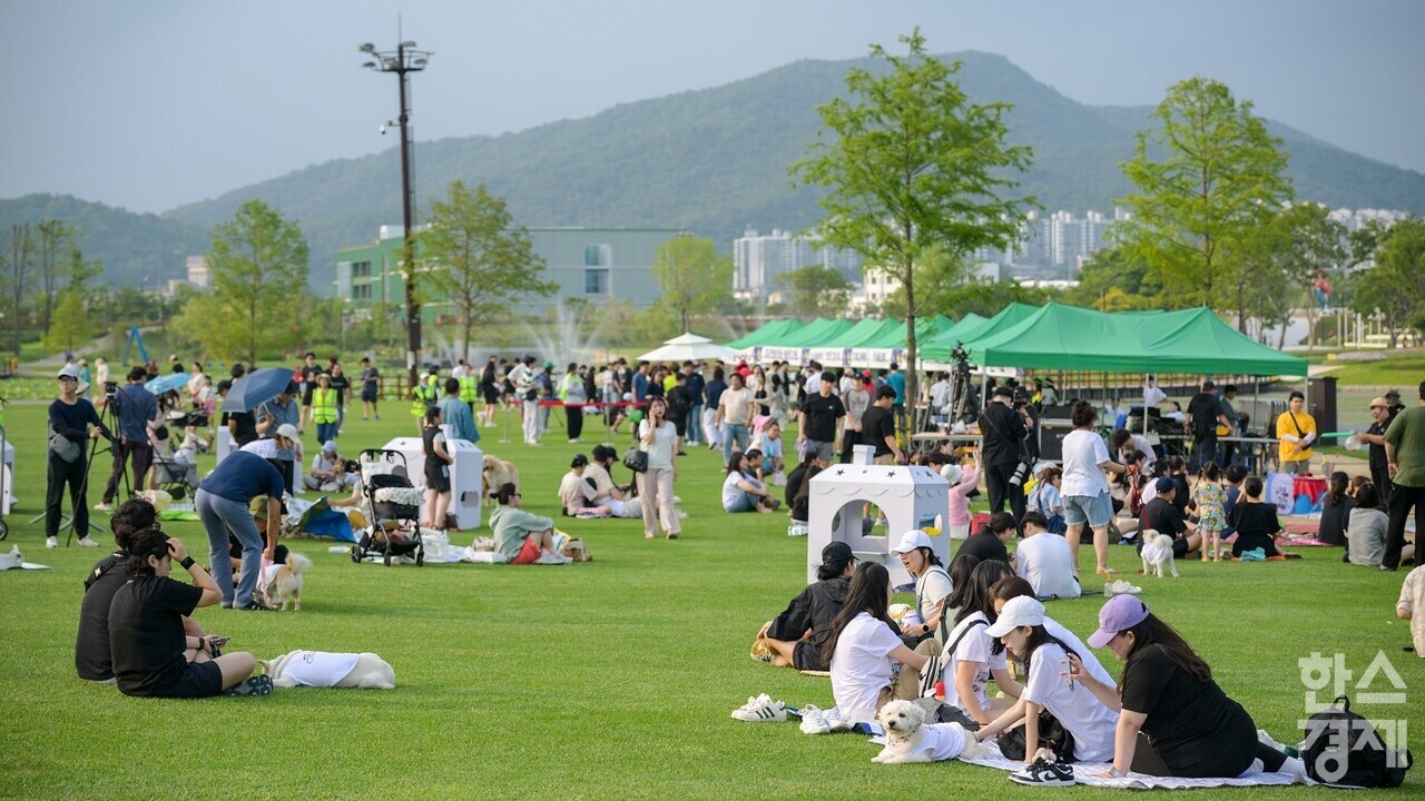 ▲댕댕나이트런 참가자들이 오천그린광장에 모여 앉아 휴식하고 있다. (사진=순천시)