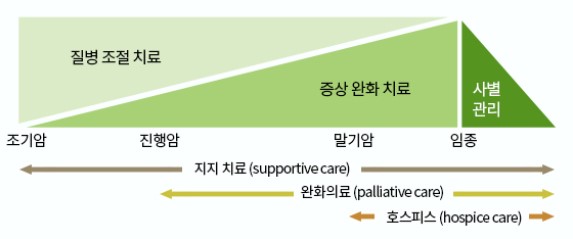 암 치료 경과에 따른 완화의료./서울대병원 제공
