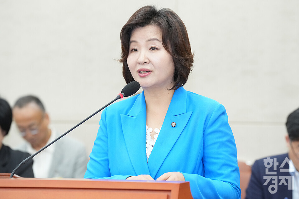  이수진 더불어민주당 의원. /한스경제 DB