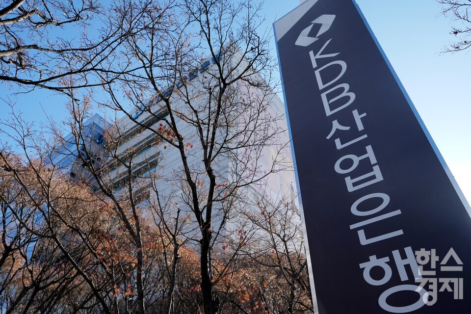 한국산업은행이 미국 관세 충격에 대비해 마련한 ‘위기대응 특별프로그램’의 초기 두 달간 집행률이 0.5% 불과한 것으로 드러났다. /한스경제 DB