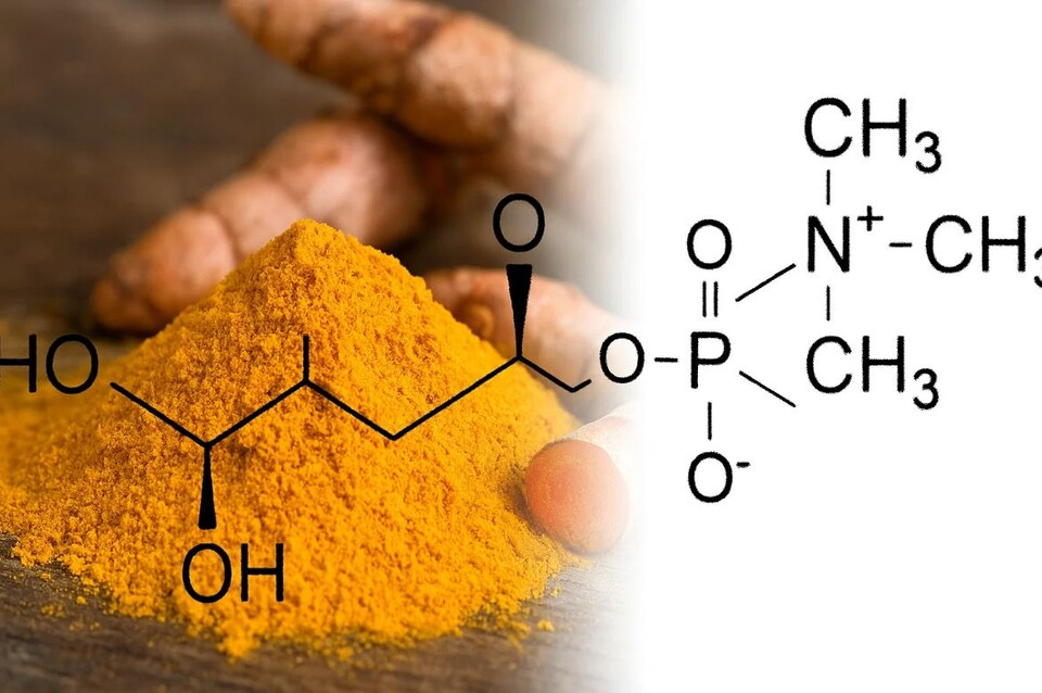 알피바이오(대표 윤재훈)가 국내 최초로 ‘노화로 인해 저하된 인지 기능 개선’ 기능성을 인정받은 강황추출물(커큐민) 원료를 확보하고 이 원료에 대한 국내 독점 생산 권한을 확보했다. /알피바이오 제공