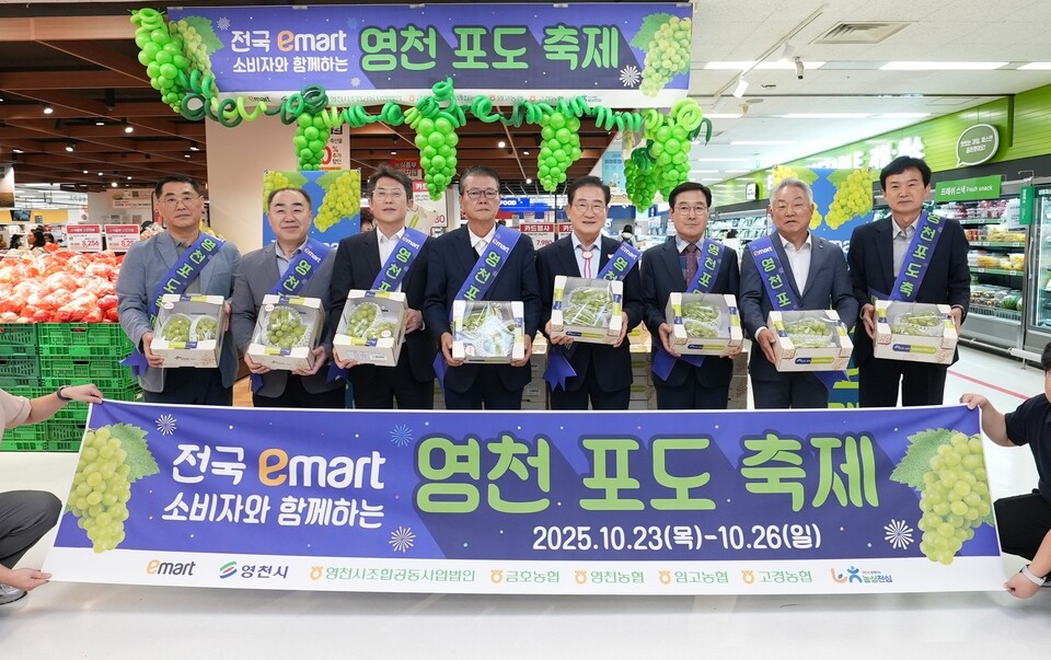전국 이마트가 달콤해진다! 영천포도 축제 개최. 사진=영천시