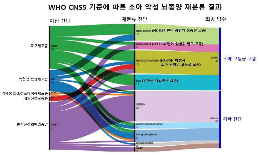 WHO CNS5 기준에 따른 소아 악성 뇌종양 재분류 결과./서울대병원 제공