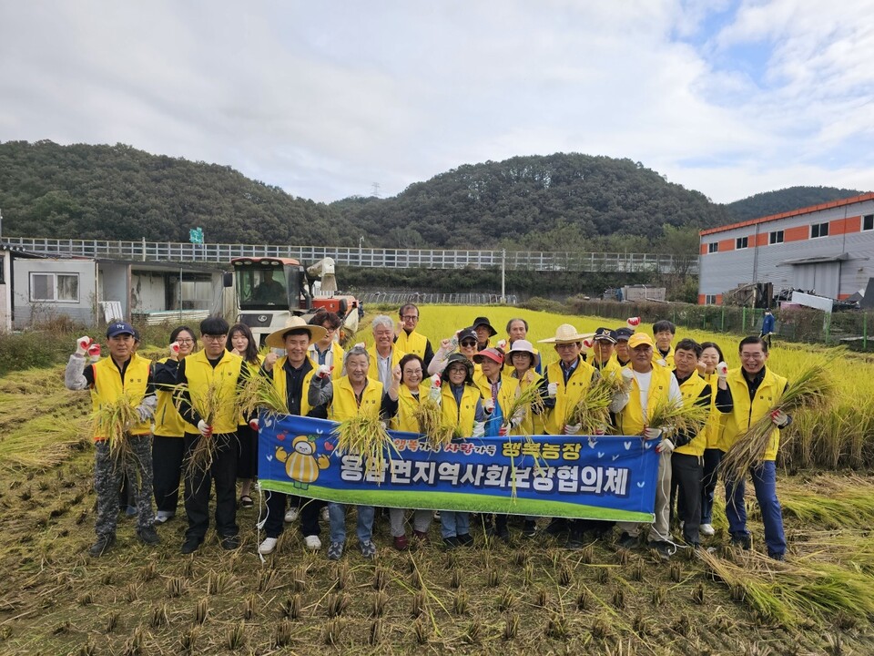 풍년보다 풍성한 마음! 용암면지역사회보장협의체 벼베기 실시. 사진=성주군