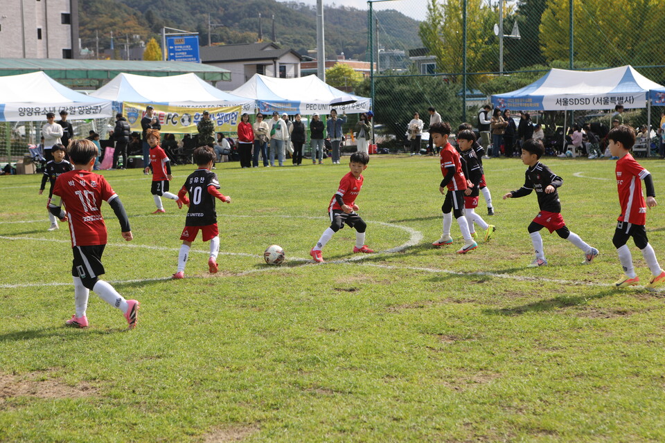 2025 힐링 양구 사과컵 전국 유소년 축구클럽 페스티벌. /SH스포츠에이전시 제공