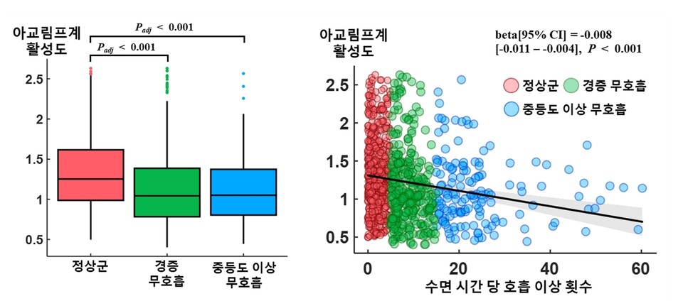 수면무호흡 중증도와 뇌 노폐물 배출 시스템 '아교림프계' 활성도의 관계. /분당서울대병원 제공