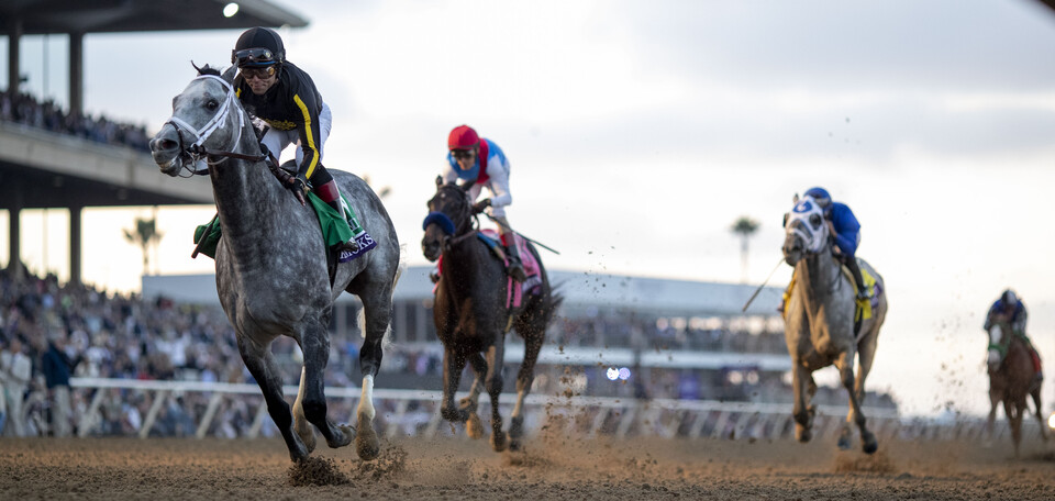 지난 2021년 미국 브리더스컵 클래식 결승선에 들어오는 '닉스고'. /한국마사회 제공