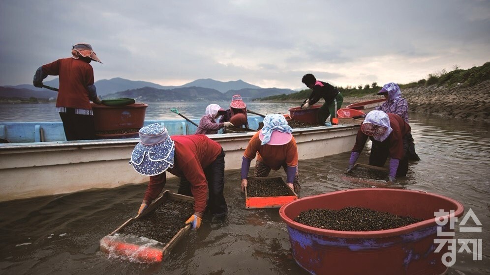 ▲섬진강 재첩잡이 손틀어업 (사진=광양시)