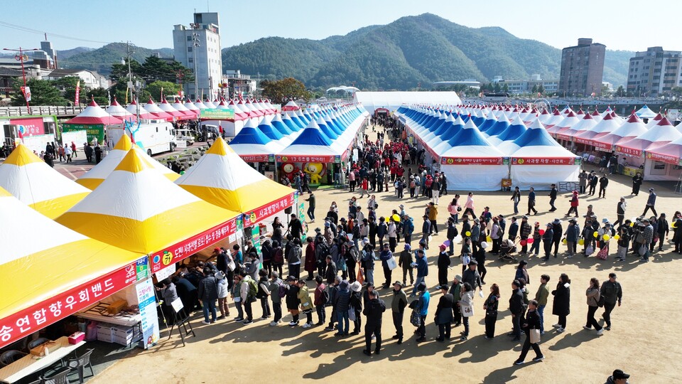 깊어가는 가을, 청송사과축제 ‘다시 푸르게, 다시 붉게’ 물들다-축제장 전경. 사진=청송군