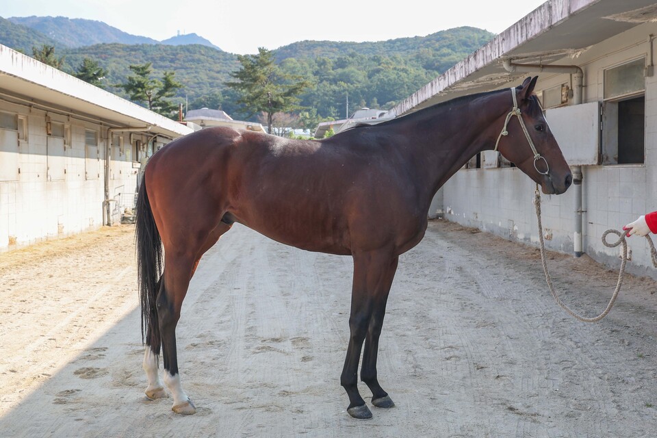 청산질주. /한국마사회 제공