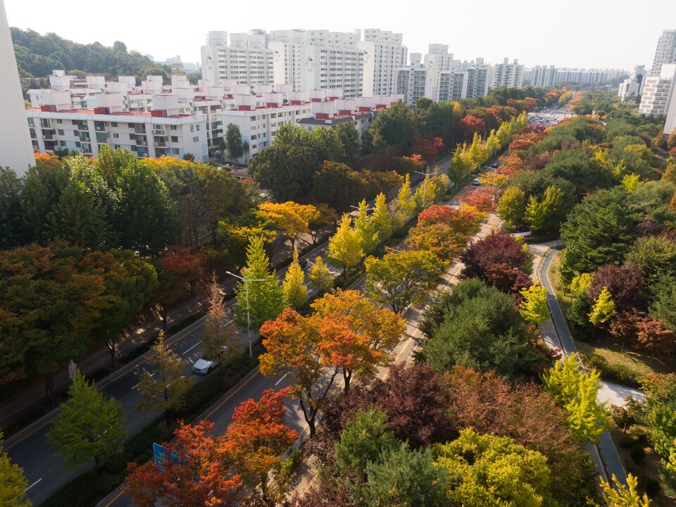 평택시(시장 정장선)는 ‘국도1호선 가로숲길’이 산림청이 주관한 ‘2025년 녹색도시 우수사례(가로수 분야)’ 공모에서 우수상을 수상했다고 31일 밝혔다./ 평택시 제공