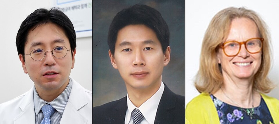 (왼쪽부터) 이용호 세브란스병원 내분비내과 교수, 임수 분당서울대병원 내분비대사내과 교수, 멜라니 데이비스 레스터대학 교수./분당서울대병원 제공