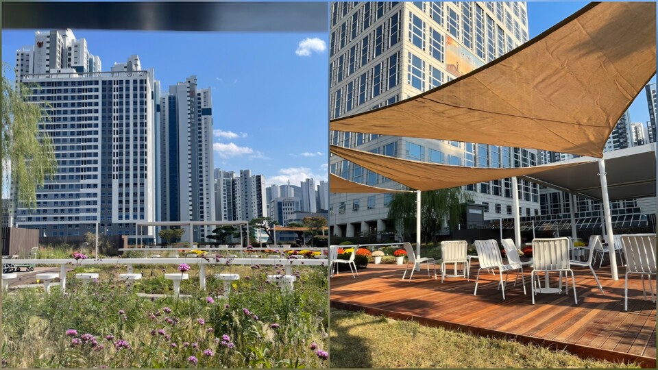 부산시청사 4층 하늘정원 모습. 사진=부산시