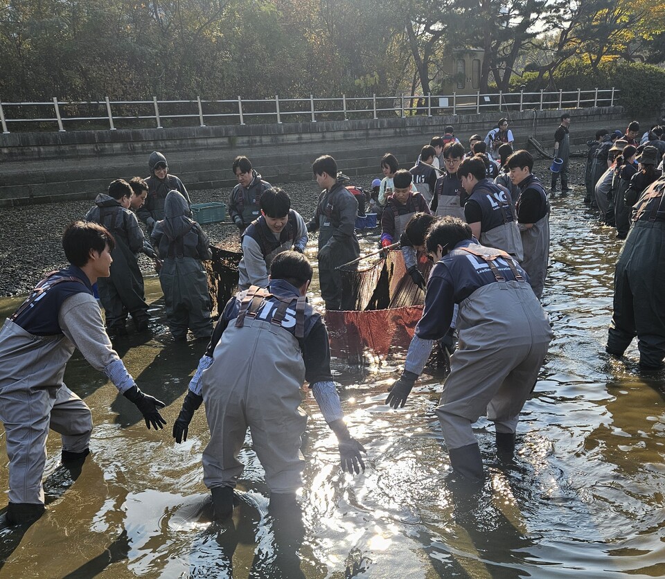 LIG넥스원 임직원들이 지난 4일 성남시 중앙공원 내 분당호 일대에서 생태계 교란 유해 외래어종 퇴치를 위한 봉사활동을 진행하고 있다./LIG넥스원