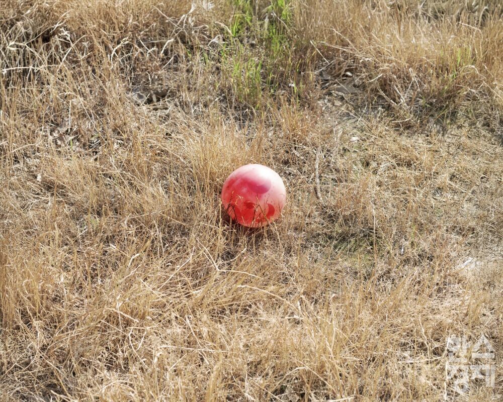 ▲박정임 작품 '공, 2024'