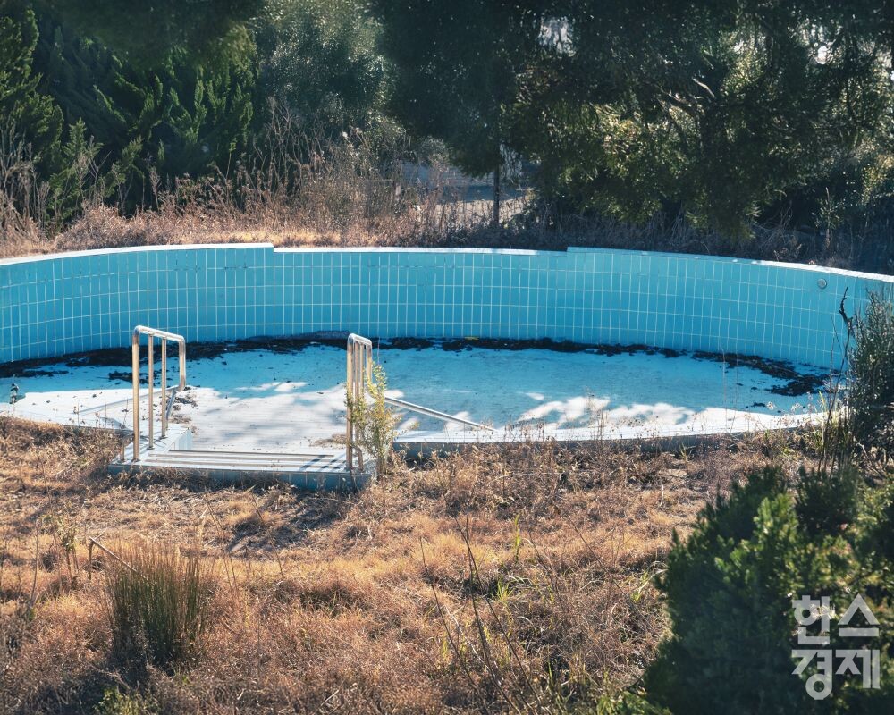 ▲박정임 작품 '수영장, 2023'