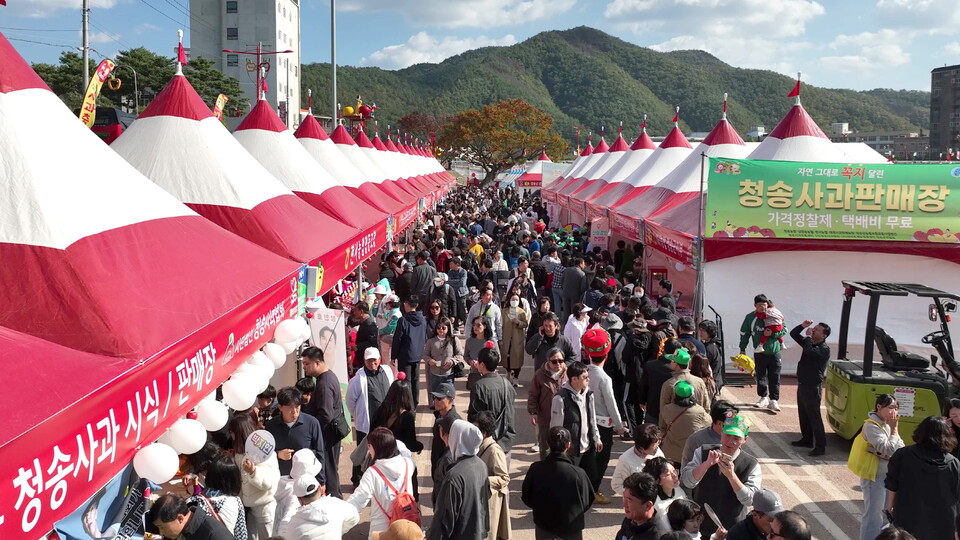 '제19회 청송사과축제' 관광객. 사진=청송군