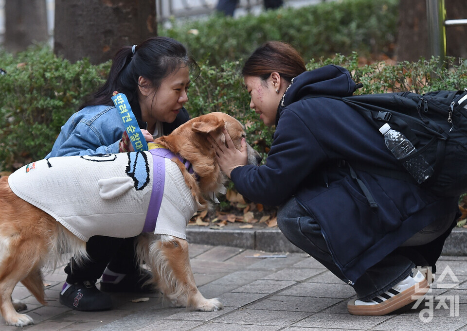 2026학년도 대학수학능력시험이 실시된 13일 오전 서울 송파구 영동일 고등학교에 마련된 시험장 앞에서 수험생이 가족과 반려견의 응원을 받고 있다. / 이호형 기자 leemario@sporbiz.co.kr 2025.11.13