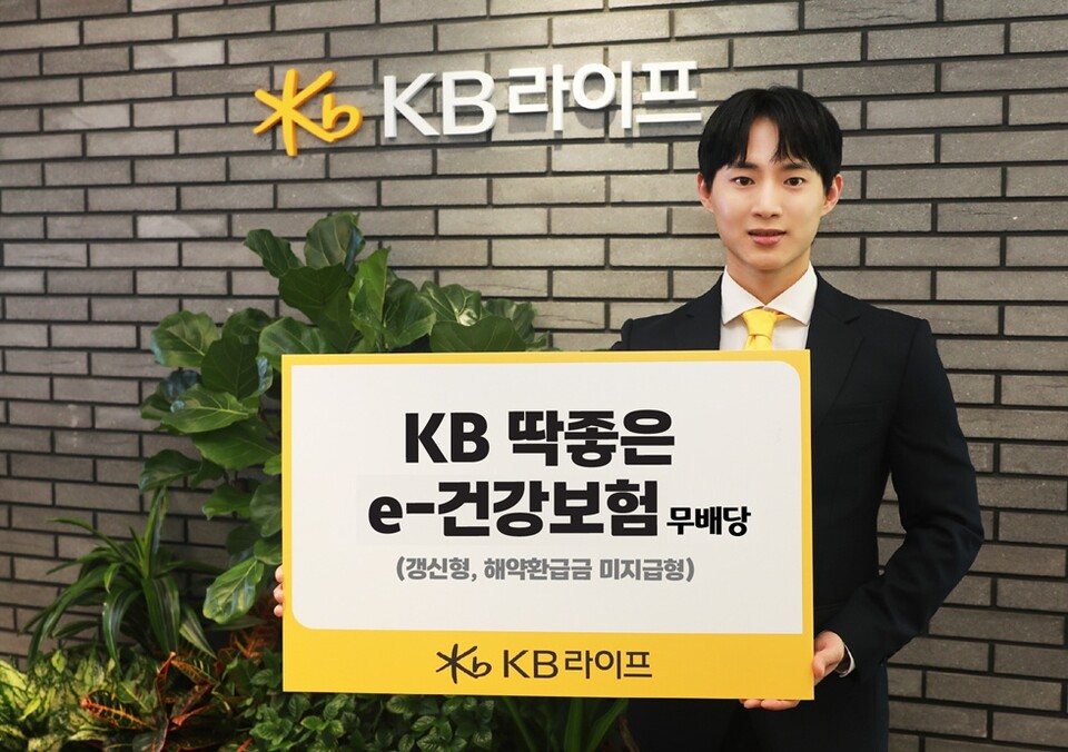 KB라이프는 고객이 온라인을 통해 간편하게 가입할 수 있는 'KB 딱좋은 e-건강보험 무배당(갱신형)'을 출시했다. 사진/KB라이프