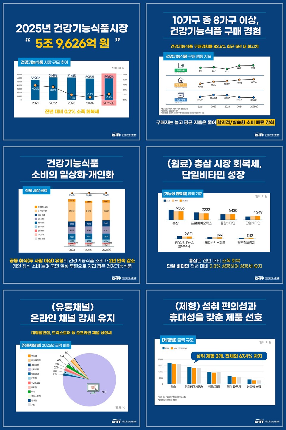 2025 시장현황 및 소비자 실태조사. /한국건강기능식품협회 제공