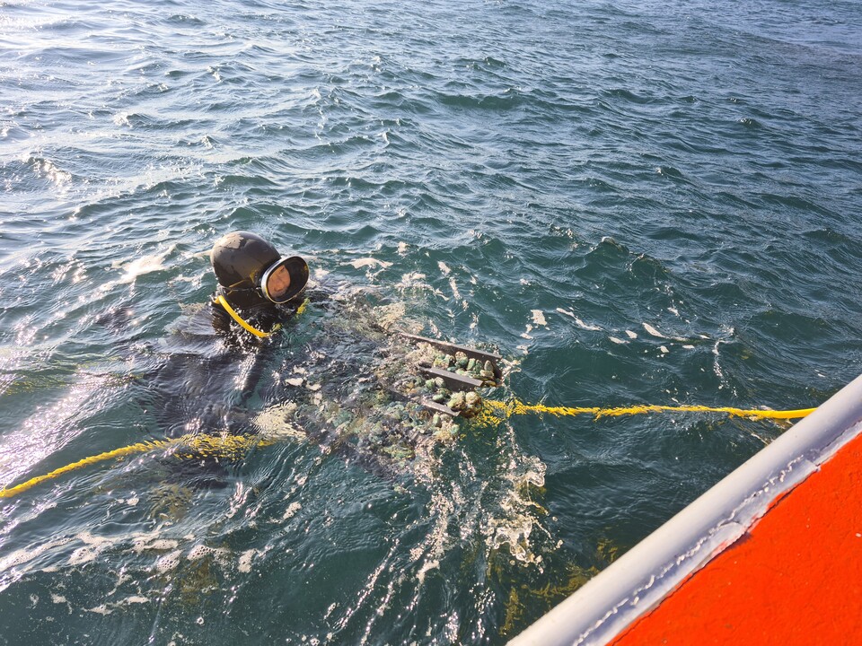 경북 수산자원연구원과 함께 어린 전복 방류. 사진=영덕군