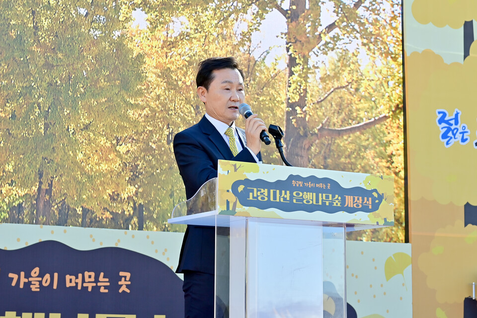 고령다산 은행나무숲 개장식 개최. 사진=고령군