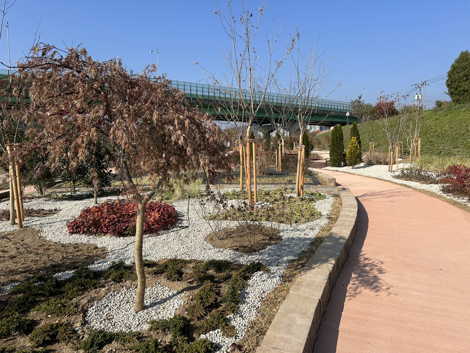 불로천 둔치, 생활밀착형 숲(실외정원) 조성사업. 사진=대구 동구