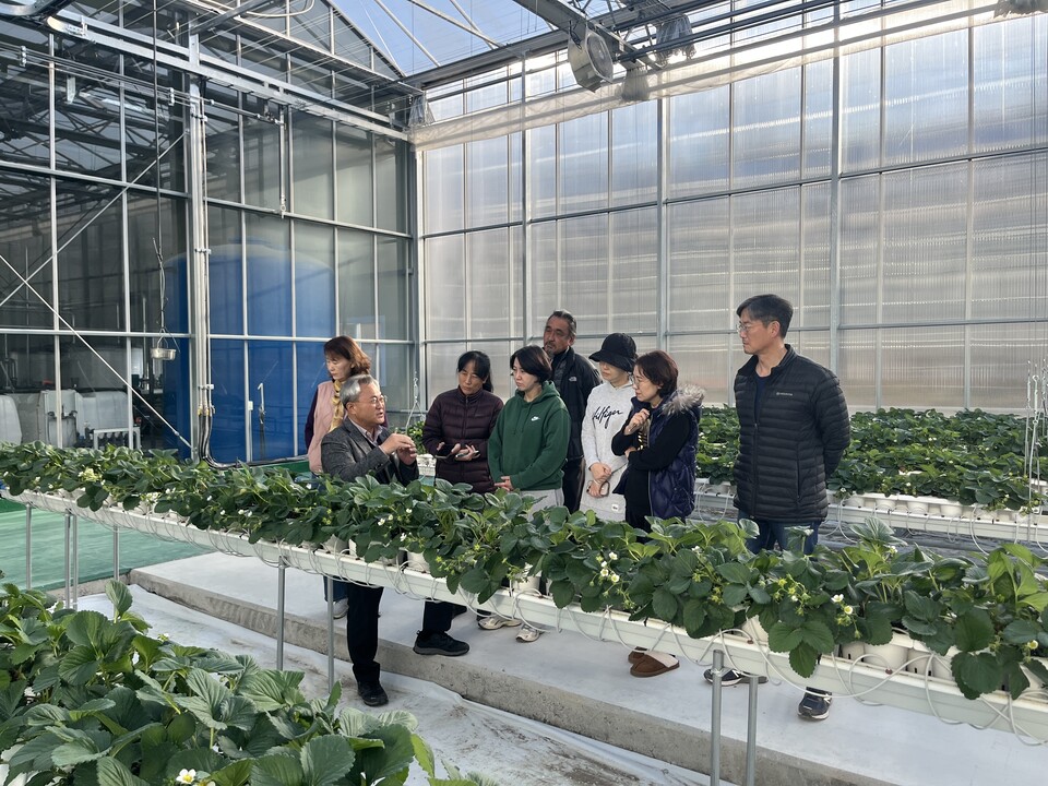 봉화군이 내년 1월 봉성면 창평리임대형 스마트팜단지 입주를 앞두고 입주 예정 농업인  대상으로 마지막 실습교육에 돌입 .사진=봉화군 제공