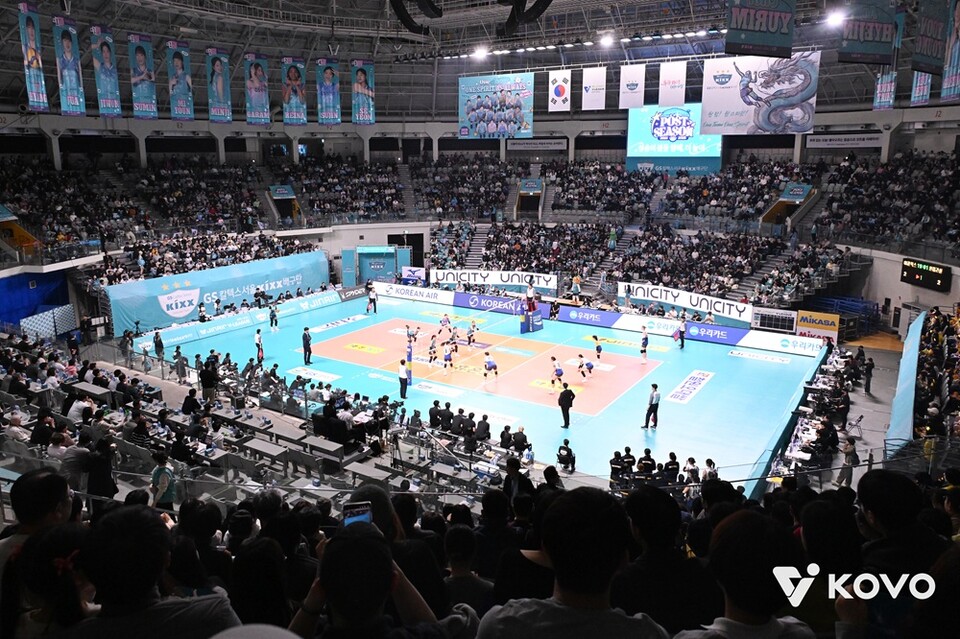 프로배구 관중·시청률 상승 관련 이미지