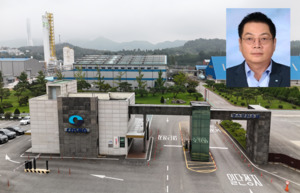 허경수 코스모그룹 회장, 1550억 무리수 베팅 우려[더시그널] - 뉴스 썸네일 이미지