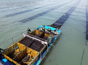 농어촌공사, 고객만족도 조사 '최고 등급' - 뉴스 썸네일 이미지