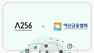 카드 9사, 스테이블코인 결제망 실험 - 뉴스 썸네일 이미지